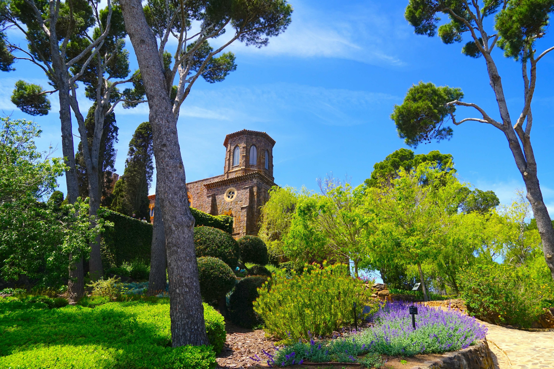 Botanischer Garten mit grünen Bäumen, Lavendel und blauem Himmel                                                                                            