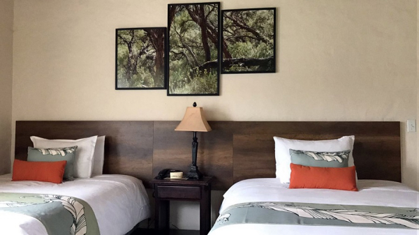 Termas de Papallacta