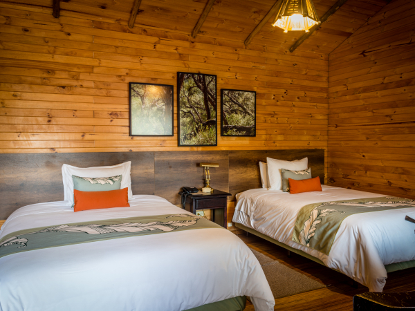 Termas de Papallacta