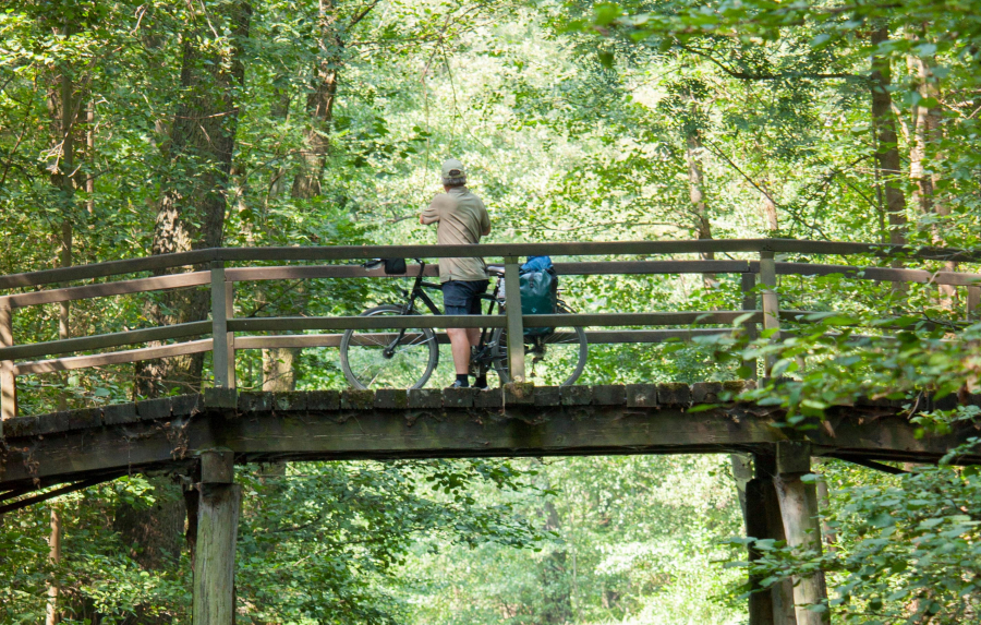Radreise Spreewald