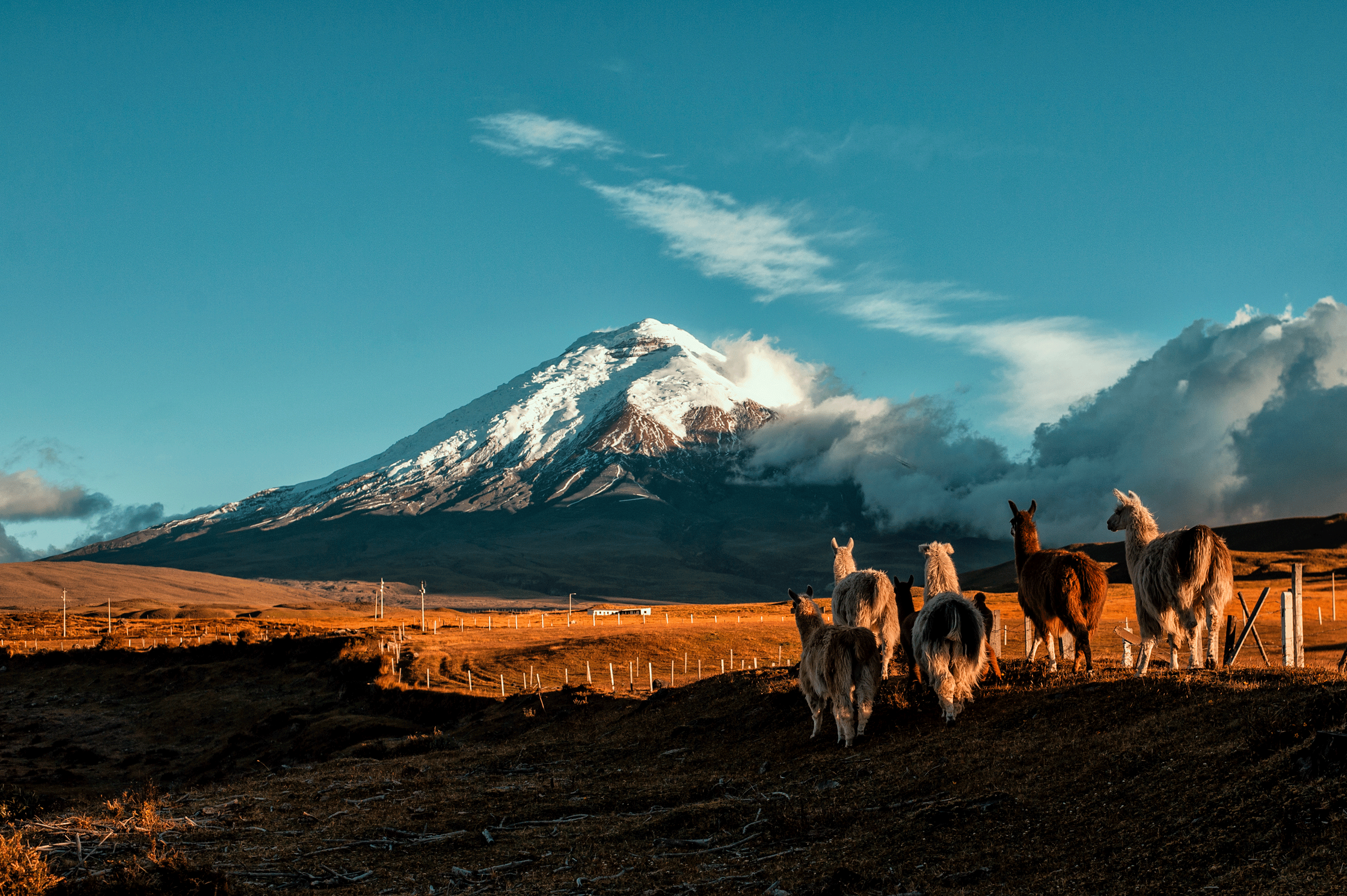 AdobeStock_351760710_Cotopaxi_Ecuador_web.gif