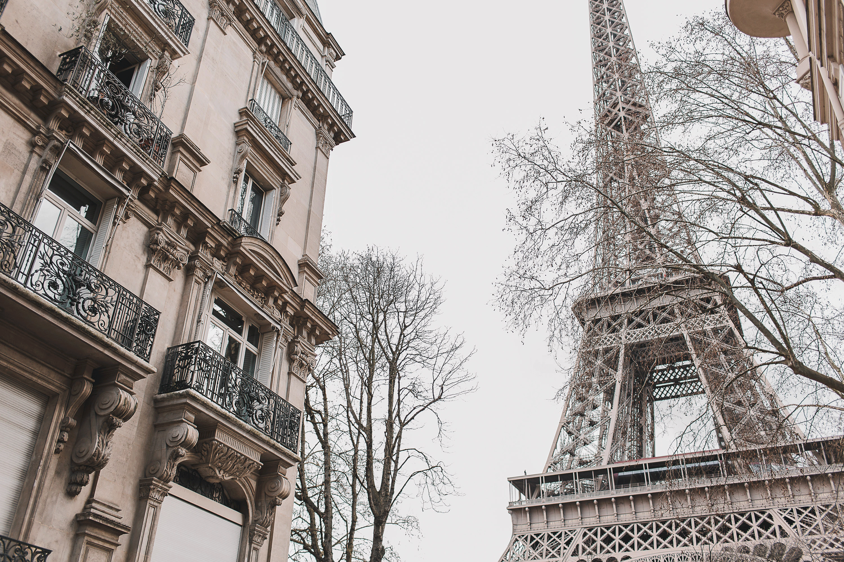 pexels-vlada-karpovich-4452032_web.gif